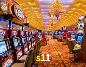 s11